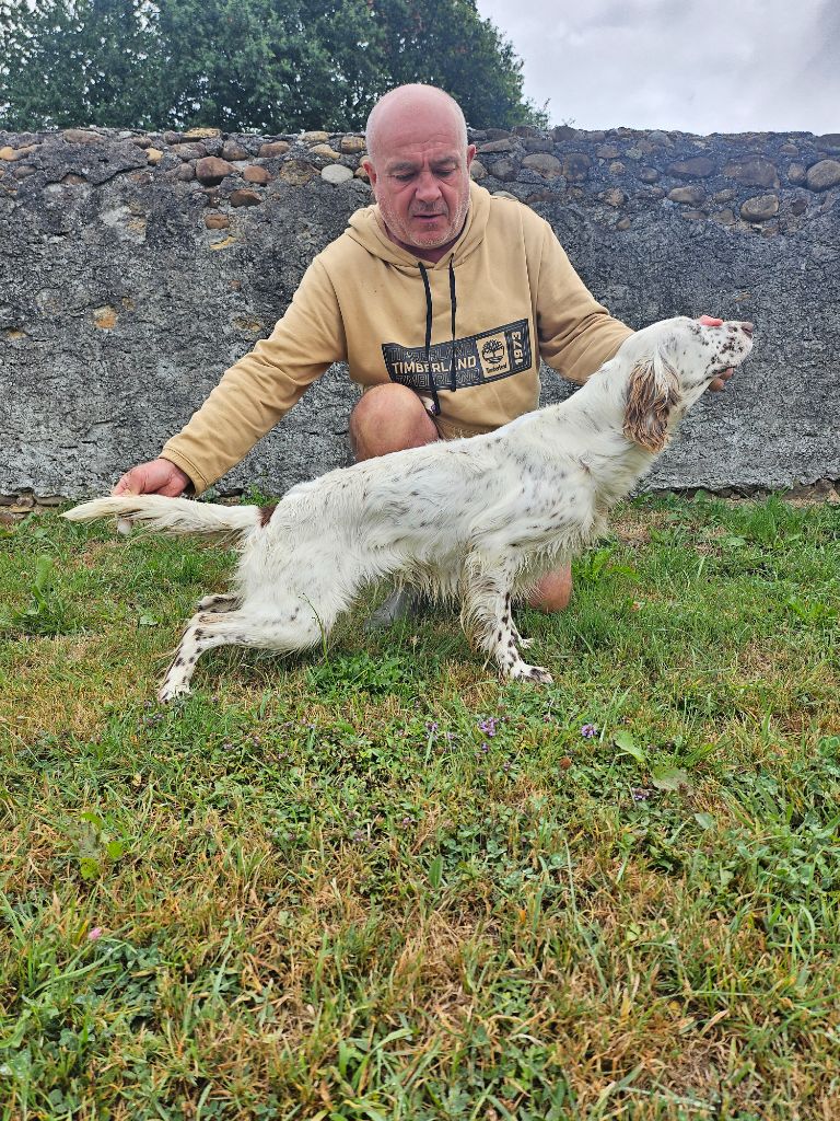 Sioux Du petit vignemale